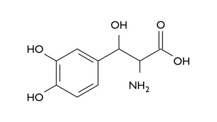 droxidopa molecule, structural chemical formula, ball-and-stick model, isolated image sympathomimetic prodrug