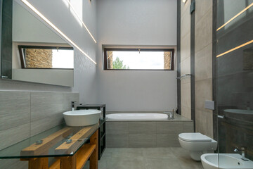 Modern bathroom design with natural light and stylish decor elements in a minimalist setting.