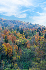 autumn in the mountains