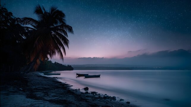A tranquil tropical beach at twilight under a star filled sky with palm trees and calm water