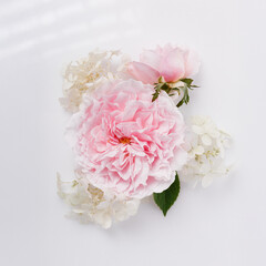 Square minimal design for branding, spa, wedding, greeting card, romantic botanical flat lay. Pink garden rose with white hydrangea on white background, soft pastel floral composition