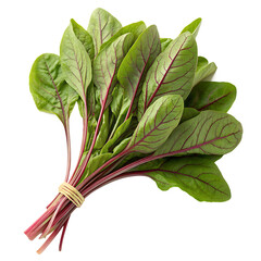 Red and green plant isolated on a transparent background
