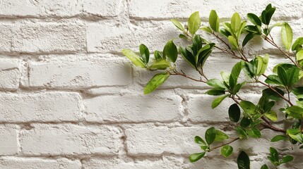 Obraz premium Creamy Brick Background. White Brick Wall with Green Plant and Frame for Art Design