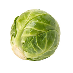 Fototapeta premium Cabbage isolated on a transparent background 