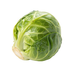 Fototapeta premium Cabbage isolated on a transparent background 
