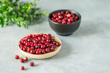 Fresh cranberries in a wooden bowl on a blue background with green branch and natural light close up.