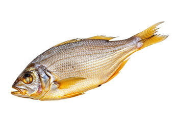 Preserved Silvery Fish with Yellow Fins on White Background