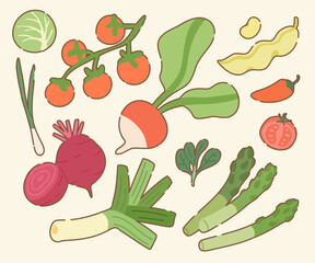Vegetables and Fruits Pattern Collection - Hand Drawn Food Illustrations