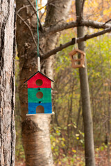 birdhouse on a tree