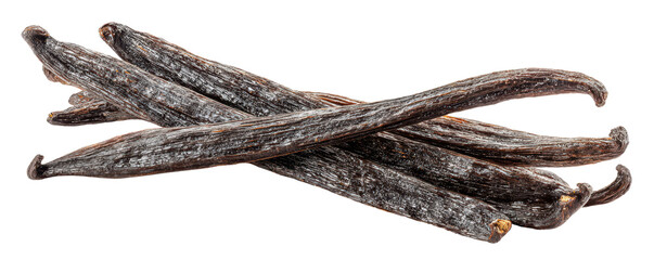 dried vanilla beans for aroma and taste isolated on white or transparent png