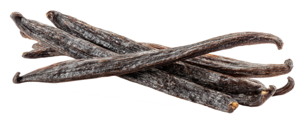 dried vanilla beans for aroma and taste isolated on white or transparent png