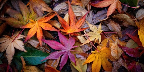 Radiant Tropical Motif with Harmony of Colours