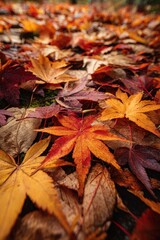 Colourful Clip Art Composition with Smooth Curves and Light