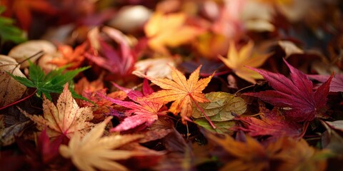 Serene Colourful Motif Design with Soft Rays of Light