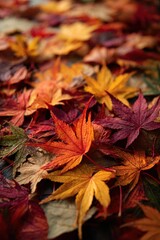 Graceful Colourful Swirl Clip Art with Sunbeam Effect