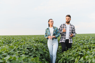 Farmers walking and discussing in soybean field