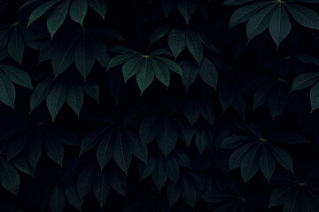 The leaves are from a cassava plant 