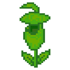 Pixel art Nepenthes tropical pitcher plant