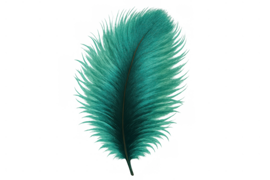 Teal feather floating gently, soft texture and fluffy down creating a light, delicate, and elegant feeling on transparent background