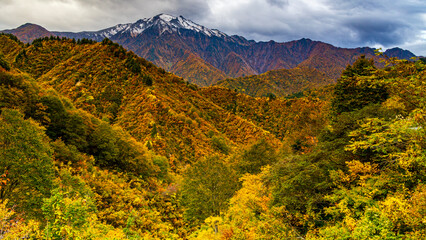 冠雪した越後駒ヶ岳と紅葉の森　魚沼の秋　絶景