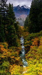 紅葉の間を流れる渓流と冠雪した越後駒ヶ岳　秋の魚沼　絶景