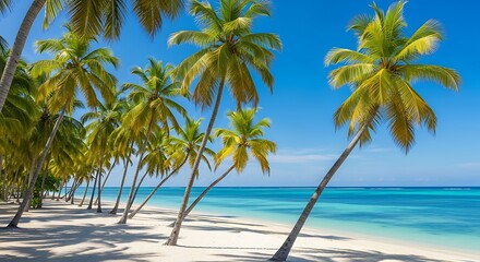 Obraz premium Tropical beach with palm trees and turquoise water on a sunny day