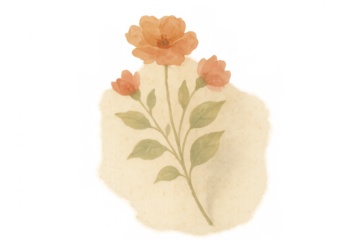 Orange watercolor flower botanical illustration on torn vintage paper piece with transparent background