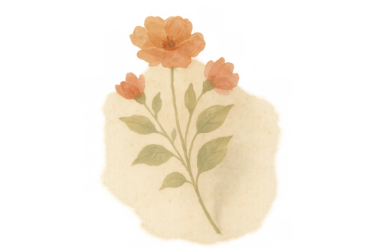 Orange watercolor flower botanical illustration on torn vintage paper piece with transparent background