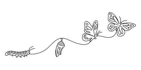 Simple continuous line drawing of life cycle of a butterfly © Bilas