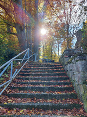 autumn season. Yellow trees and sunlight above stone stairs. Fallen leaves. Pivola. Slovenia. Europe