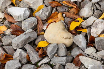 Yellow and brown autumn leaves scattered on grey stones around a face shaped rock