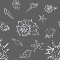 line art illustration of various seashells and starfish on a deep ocean background. Marine elements drawn in a minimal elegant style.