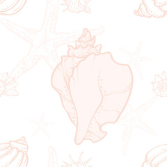line art illustration of various seashells and starfish on a deep ocean background. Marine elements drawn in a minimal elegant style.