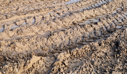 Wheel tracks in the mud. Ruts and puddles. Close-up.