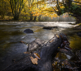 Autumn lights on a November afternoon over a river