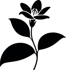 Black jasmine flower silhouette bloom