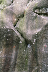 Smooth texture and rounded shapes of the Fontainebleau sandstone