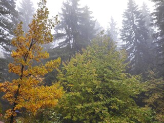 autumn in the mountains