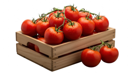 Fresh ripe red tomatoes in a wooden crate ready for harvest and cooking illustration