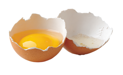 Cracked egg shell, yolk and egg white