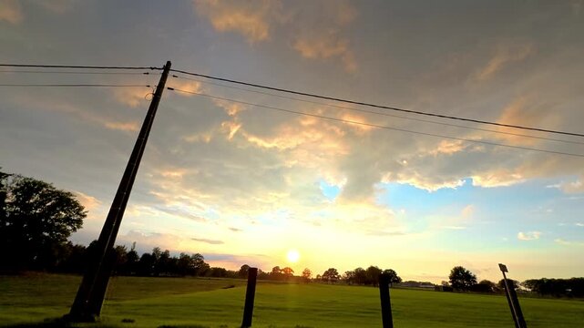 Country landscape with tree, Silhouette of oak during sunset, Dramatic countryside with telephone wires and glowing sky