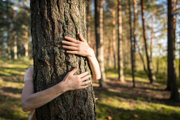 Calm woman in woods hugging pine tree trunk with hands in autumn forest at sunset. Female in...