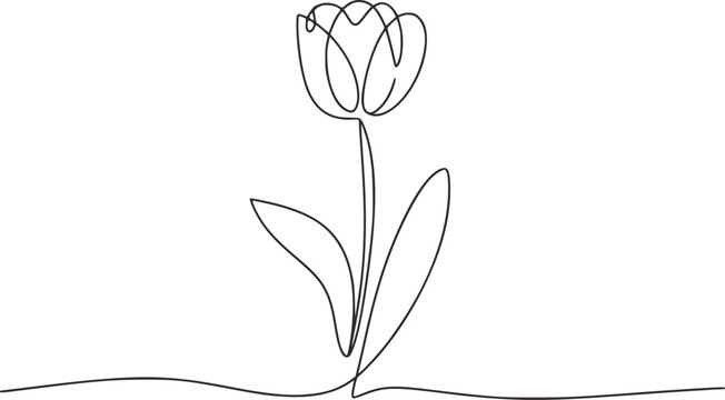 Minimalist single line drawing of a tulip flower plant