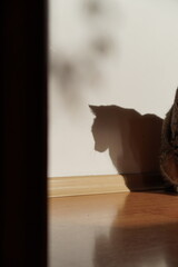 woman looking out window