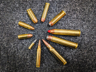 A diverse collection of firearm ammunition calibers, comparing 22LR, Magnum pistol rounds, and 45-70 Government rifle cartridges on dark background.