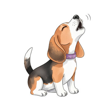 Beagle dog howling with a collar on white background  