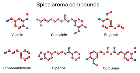 Spice aroma compounds molecule. Chemical structures of vanillin, cinnamaldehyde, eugenol, curcumin, piperine and capsaicin. Molecular model. Vector Illustration