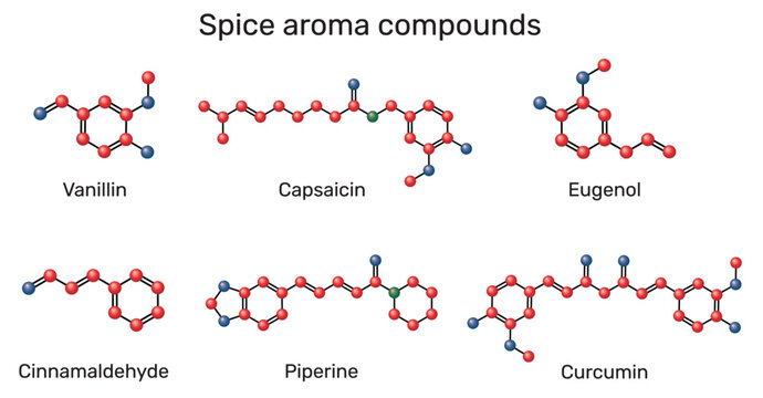 Spice aroma compounds molecule. Chemical structures of vanillin, cinnamaldehyde, eugenol, curcumin, piperine and capsaicin. Molecular model. Vector Illustration