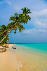 Tranquil closeup calm sea water waves with palm trees. Beautiful Panorama, Tropical island beach landscape exotic shore coast. Summer vacation, holiday amazing nature. Relax paradise, Maldives.