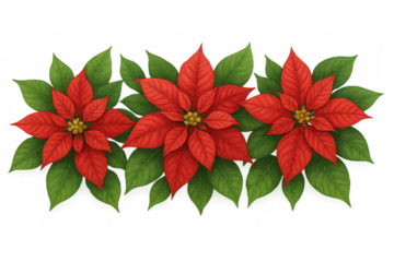 Poinsettia christmas border with red flowers and green leaves, festive holiday plant decoration on transparent background